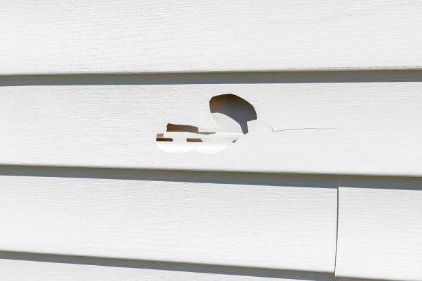 Best Residential Vinyl Siding Installation  in West Puente Valley, CA