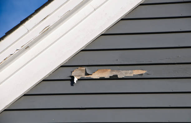  West Puente Valley, CA Siding Installation Pros