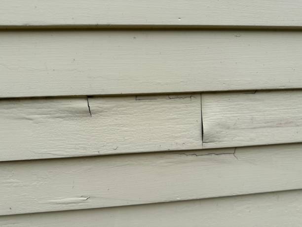Trusted West Puente Valley, CA Siding Installation & Repair Experts